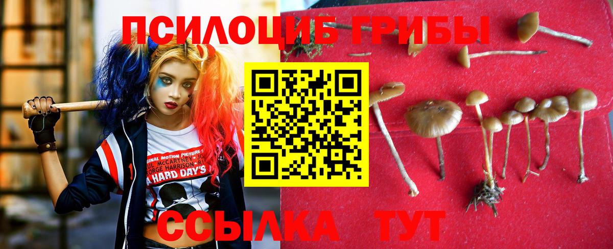 Галлюциногенные грибы мицелий  Вход с VPN  Галлюциногенные грибы Psilocybine cubensis  Октябрьский 