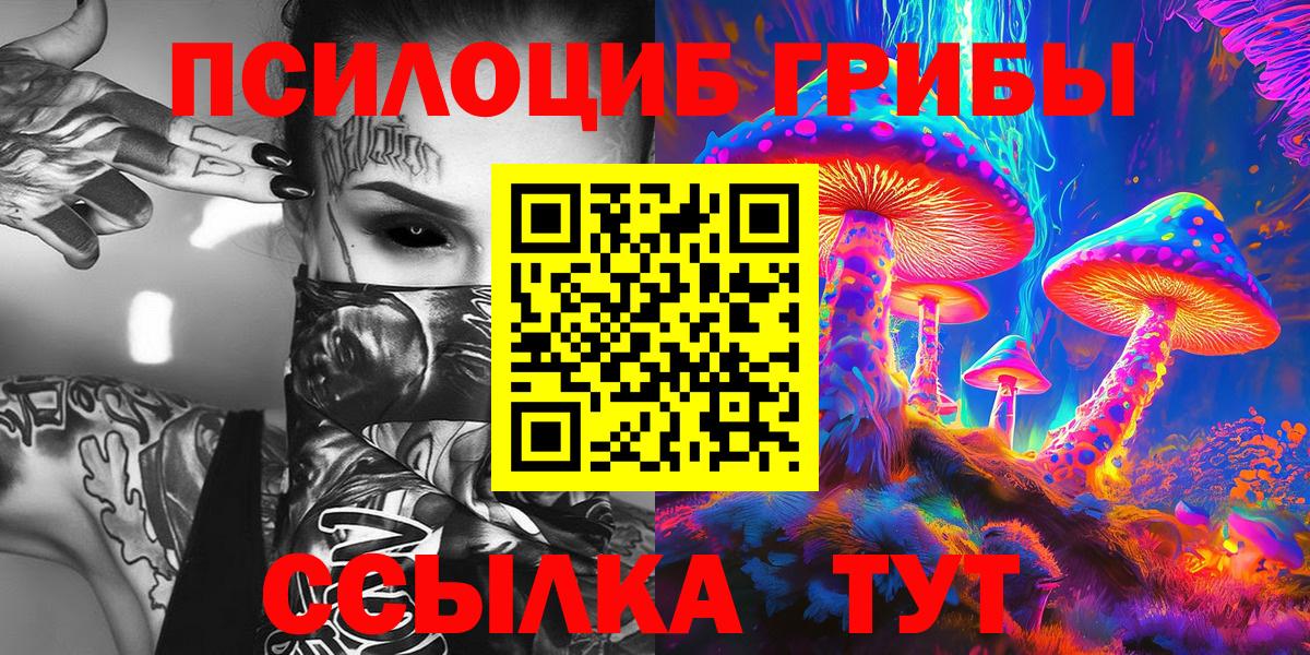 Псилоцибиновые грибы Psilocybine cubensis Октябрьский